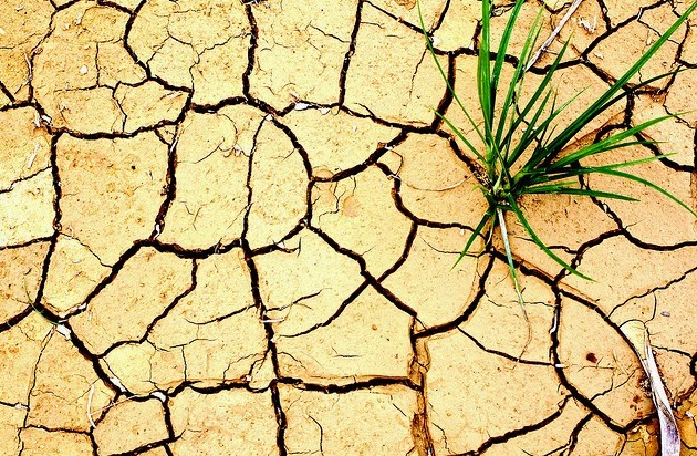 Kebencian Orang Kafir Kepada Orang Beriman Dalam Al Quran