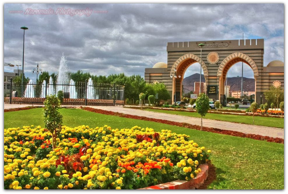 Satu Lagi Alumni Hamalatul Qur’an DIY Diterima Study S2 Di Madinah