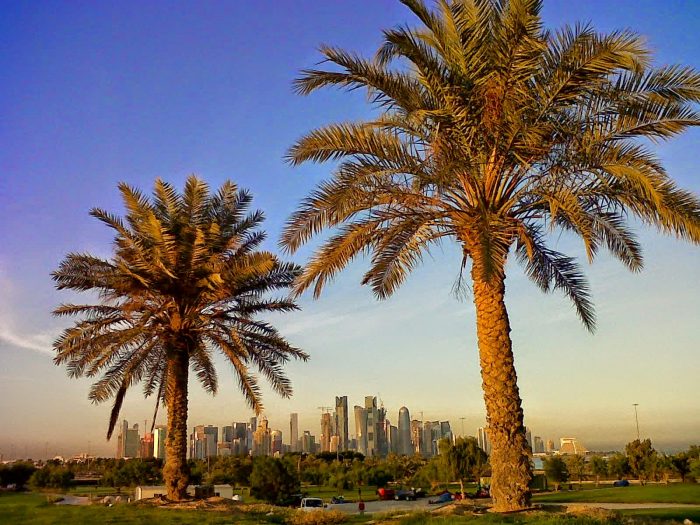 Masyaallah, Kisah Inspiratif dari Ibnu Umar dan Pohon Kurma