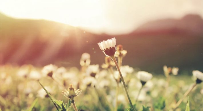 Asal-Usul Nama Surat Dalam Al Qur’an