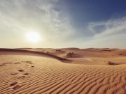 Benarkah Hafs adalah Seorang Pendusta?