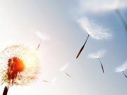 Telaah Kritis Hadis: Zuhudlah Kamu Terhadap Dunia Allah akan Mencintaimu