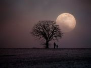 Bakti yang Terlupakan