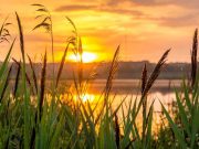 Tawakkal Kunci Menuju Surga