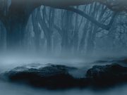 Alam Jin #3: Apakah Setan Bisa Meninggal Dunia?