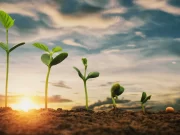 Menumbuhkan Keimanan Pada Anak