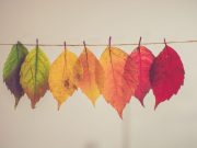 Al-Quran Berbicara Tentang Persaudaraan