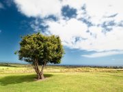 Fiqih Asmaul Husna (Bag.11): Al-Khaliq dan Al-Khallaaq