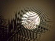 Tuntunan Syariat pada Bulan Sya’ban