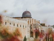 Hikmah dari Penindasan di Palestina (Bag.1)