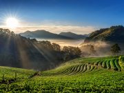 Merenungi Nama Allah Al-‘Aliim (Bag.2)