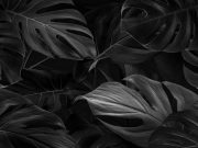 Fenomena Cek Jin Khodam