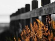 Dahsyatnya Dzikir Bag.2