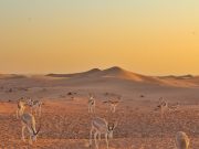 Tadabbur Surat An-Nas Bag.3