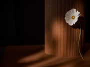 Ibadah Hati Bag.3: Antara Amal Hati dan Amal Jasmani