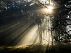 Tadabbur Surat Al-Falaq Bag.2