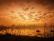 Tadabbur Surat Al-Falaq Bag.1