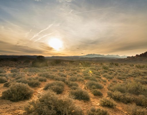 Benarkah Syaban, Bulan Mulia Untuk Ziyarah Kubur?